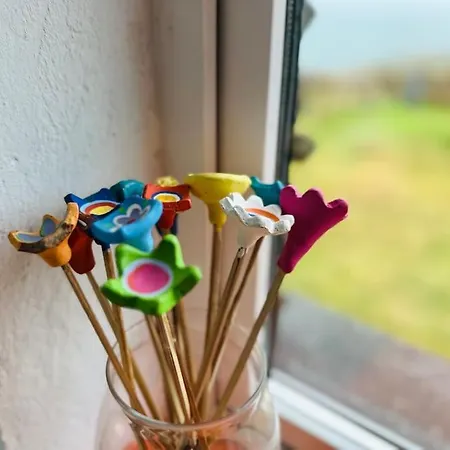 Bolus - Peaceful Seaside Retreat Дом отдыха Баллингскеллигс